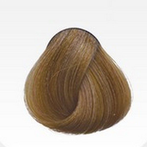 Imagen de Tinte Absoluk Hair Care 100ml 9.3