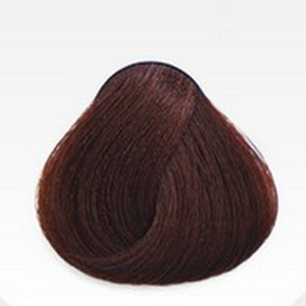 Imagen de Tinte Absoluk Hair Care 100ml 4.4
