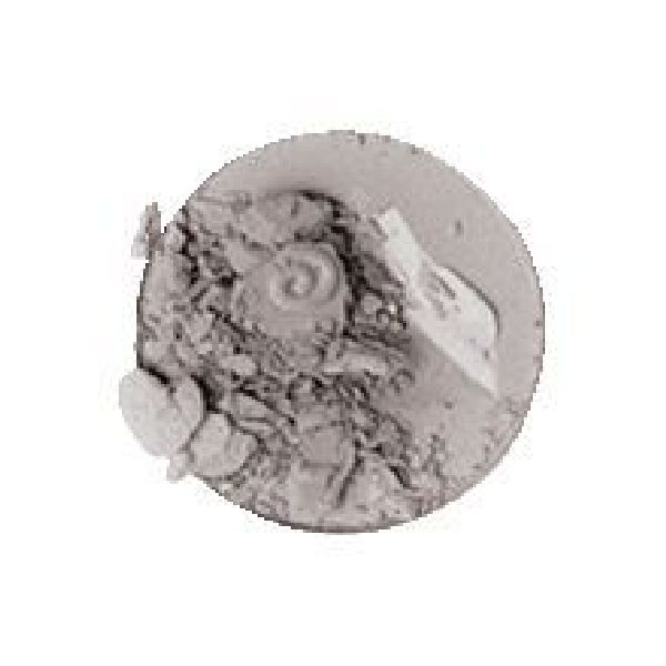 Imagen de Eye shadow brillo Evolux nº8
