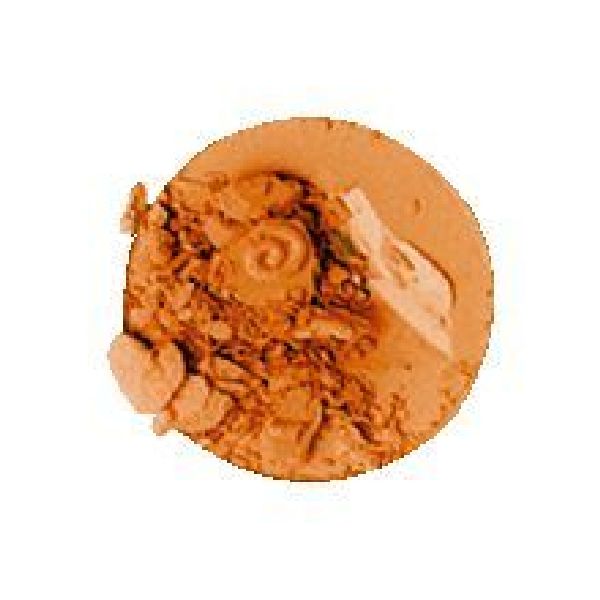 Imagen de Eye shadow mate Evolux nº13